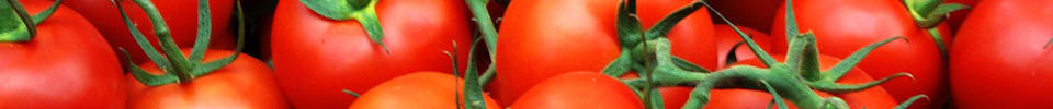 tomato.jpg