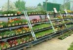Plant_racks.jpg