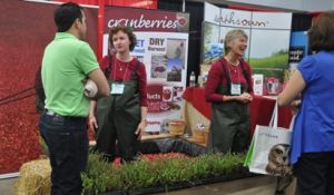 Cranberry-bog.jpg