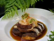 Tojo-food-crop.jpg