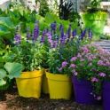Flower_pots-2.jpg