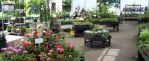 Garden_shop.jpg