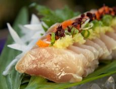 Tojo-food-3-crop.jpg