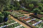 Garden-2.jpg